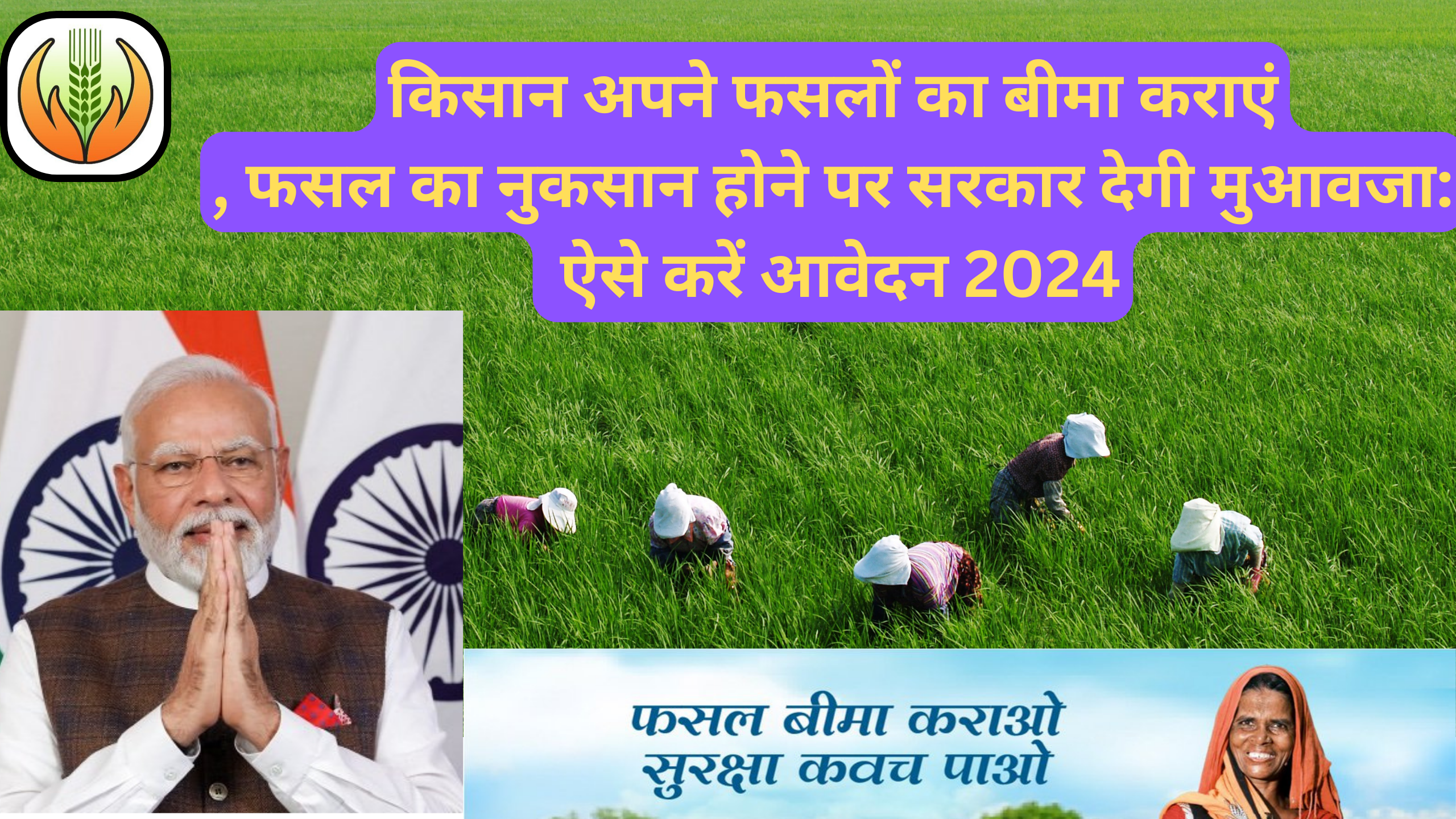 किसान अपने फसलों का बीमा कराएं, फसल का नुकसान होने पर सरकार देगी मुआवजा: ऐसे करें आवेदन 2024